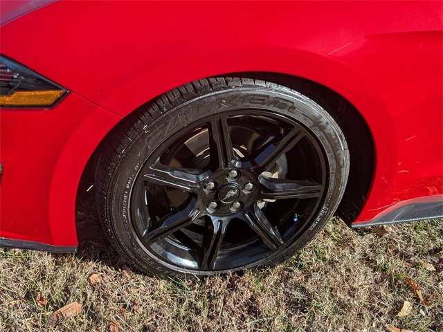 Used 2019 Ford Mustang EcoBoost w/ Black Accent Package image 10