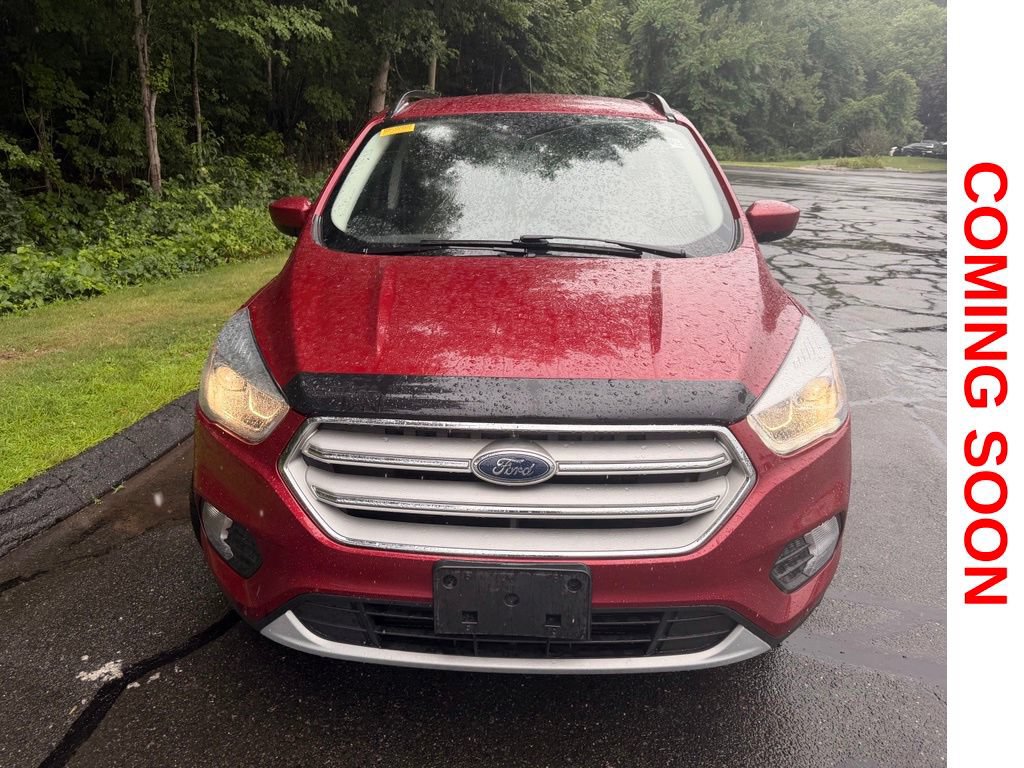 Used 2019 Ford Escape SEL AWD/4WD image 3