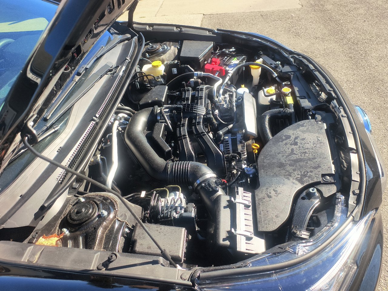 Used 2023 Subaru Legacy Premium image 40