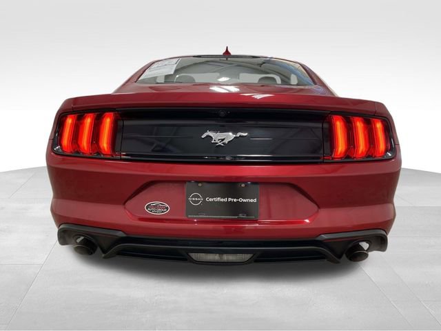 Used 2023 Ford Mustang EcoBoost image 3