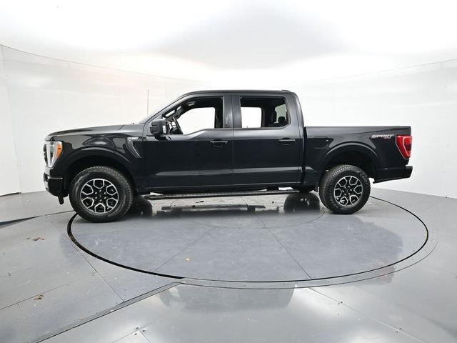 Used 2023 Ford F150 XLT w/ Equipment Group 302A High image 8