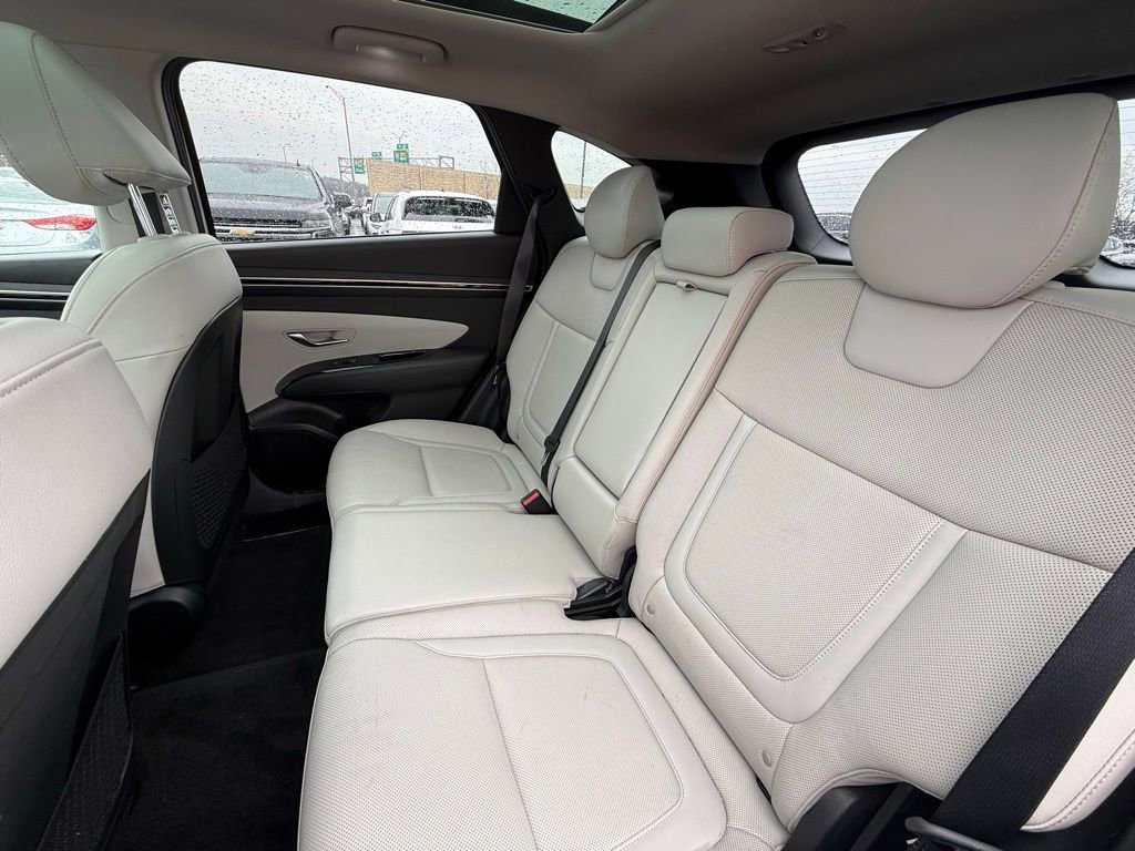 Used 2023 Hyundai Tucson Limited image 6