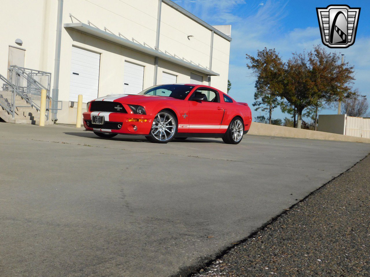 Used 2008 Ford Mustang Shelby GT500 image 3
