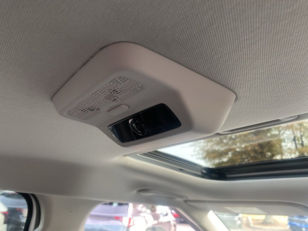 New 2026 Kia Carnival SX Prestige image 28