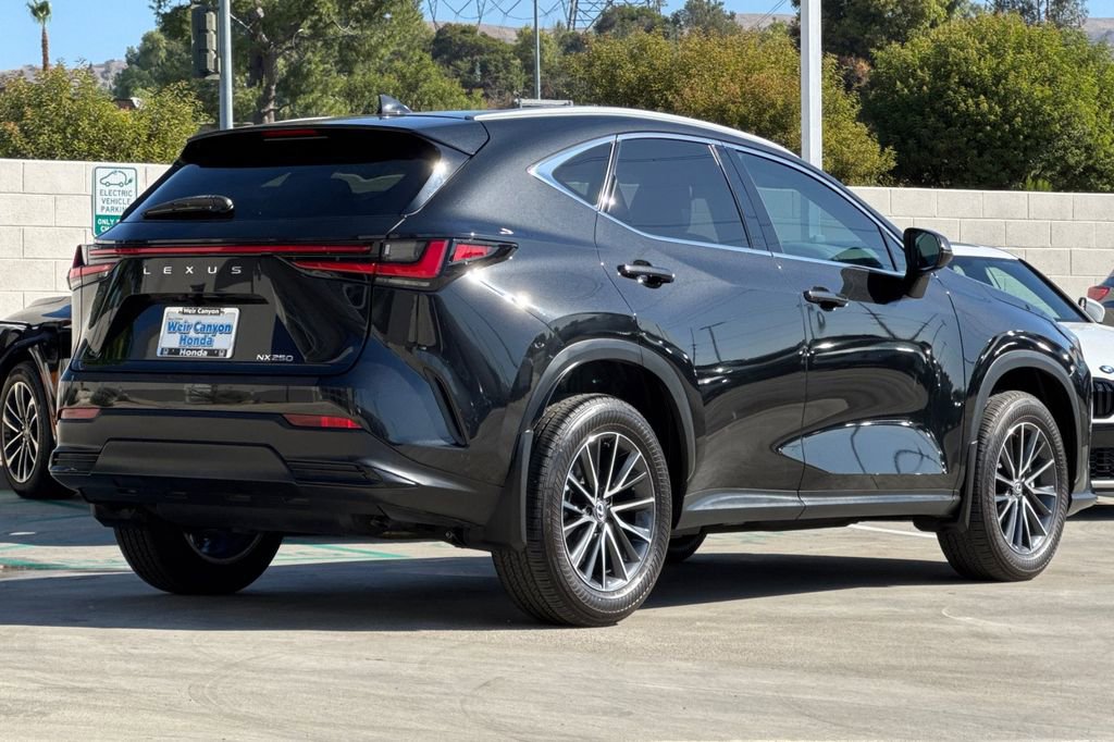 Used 2025 Lexus NX 250 FWD w/ Cold Area Package image 7