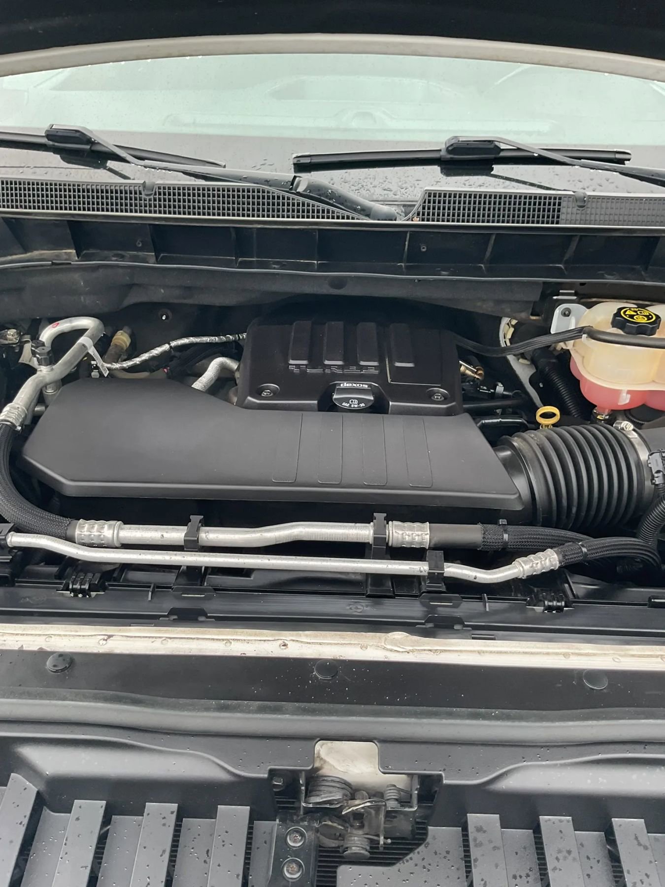 Used 2019 Chevrolet Silverado 1500 LT w/ All-Star Edition AWD/4WD image 22