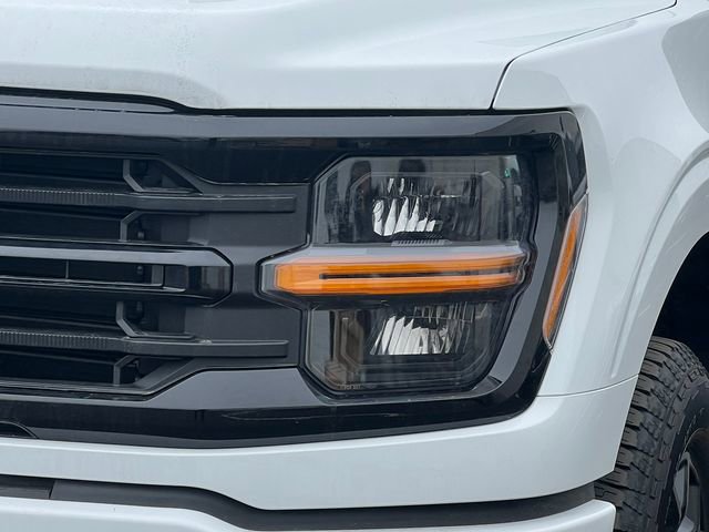 New 2025 Ford F150 XLT w/ Equipment Group 301A Standard image 39