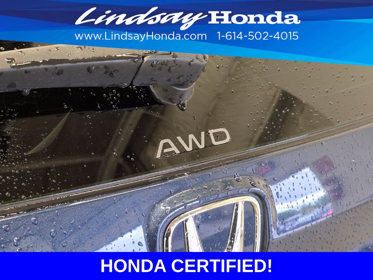 Certified 2025 Honda CR-V EX image 7