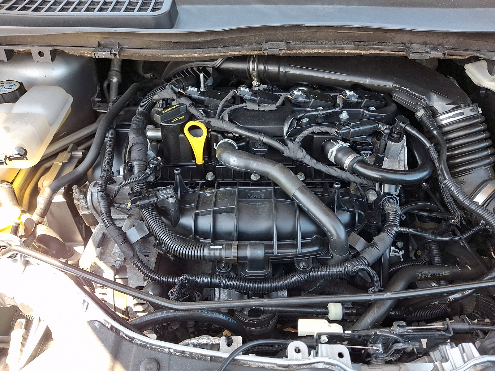 Used 2016 Ford Escape SE AWD/4WD image 29
