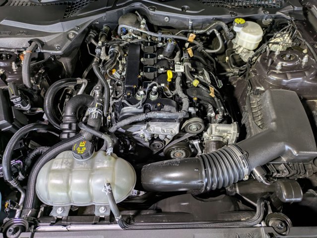 Used 2022 Ford Mustang EcoBoost image 22