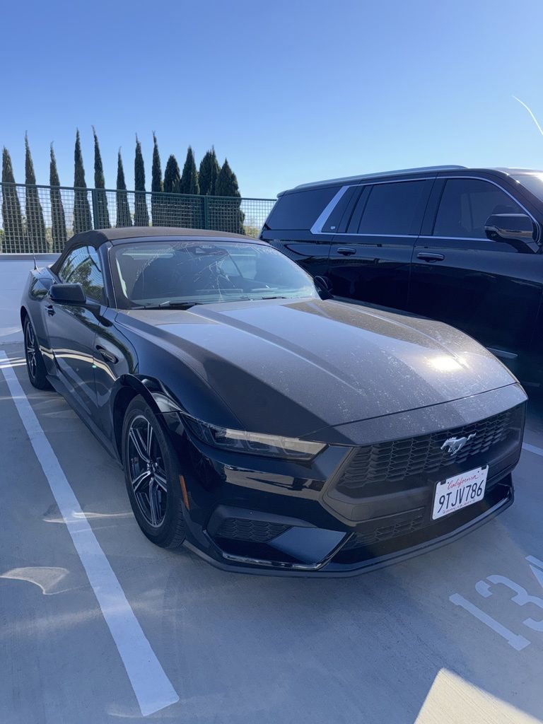 Used 2025 Ford Mustang EcoBoost image 3