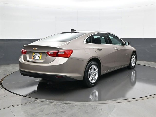 Certified 2024 Chevrolet Malibu LS image 5