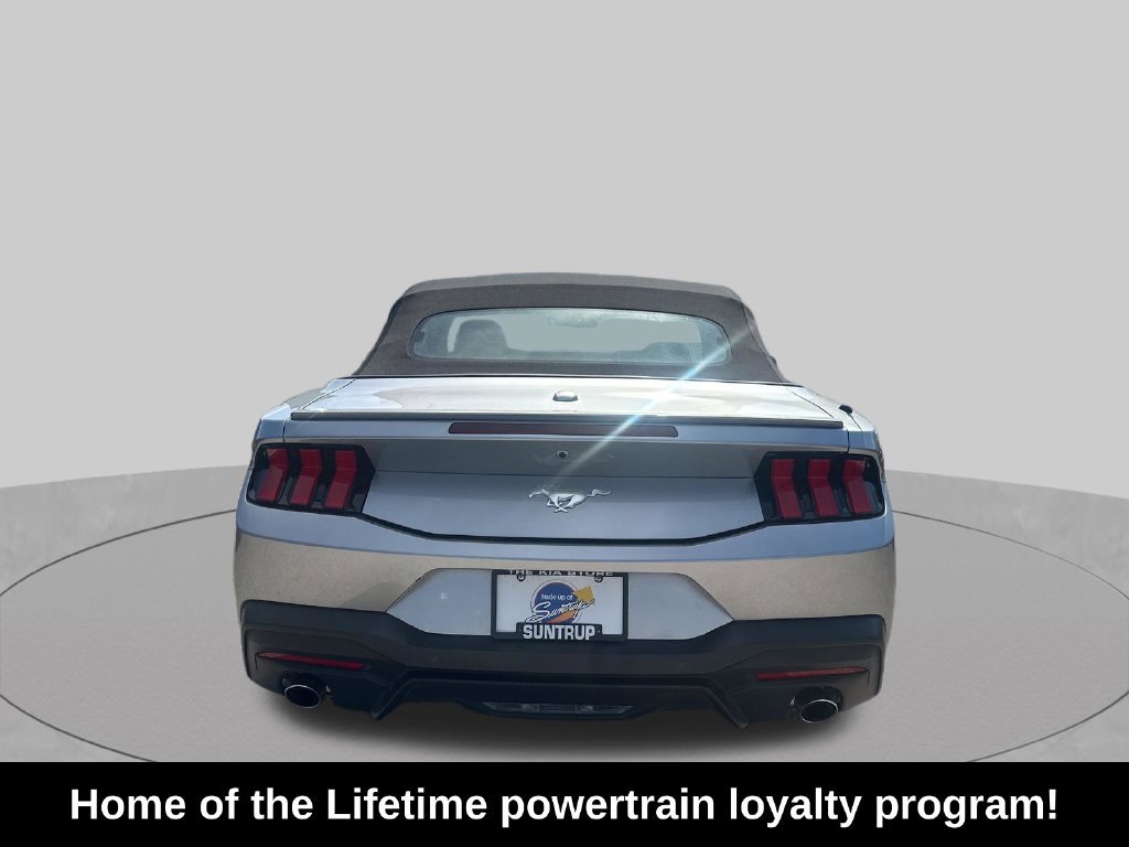 Used 2025 Ford Mustang Premium RWD image 4