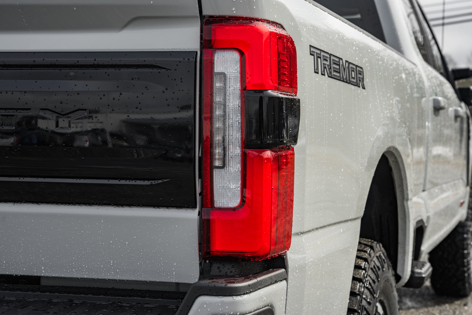 New 2026 Ford F250 Platinum w/ Tremor Off-Road Package image 7