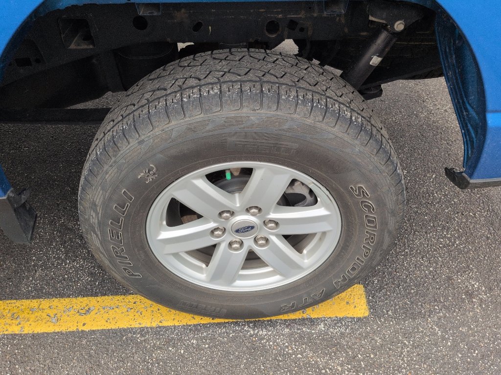 Used 2021 Ford F150 XL w/ Equipment Group 101A High AWD/4WD image 6