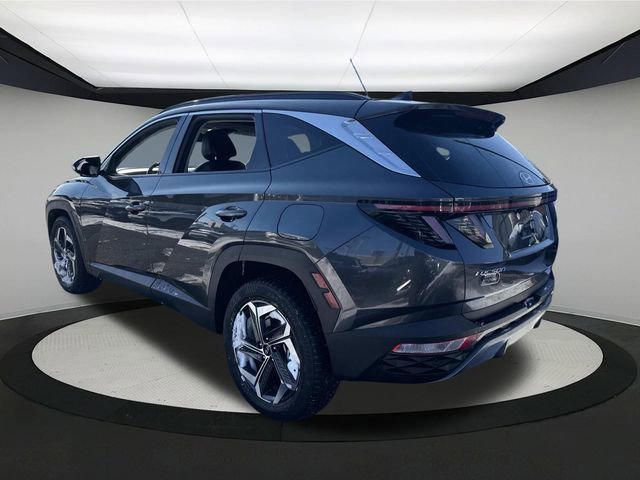 Certified 2024 Hyundai Tucson Limited image 10