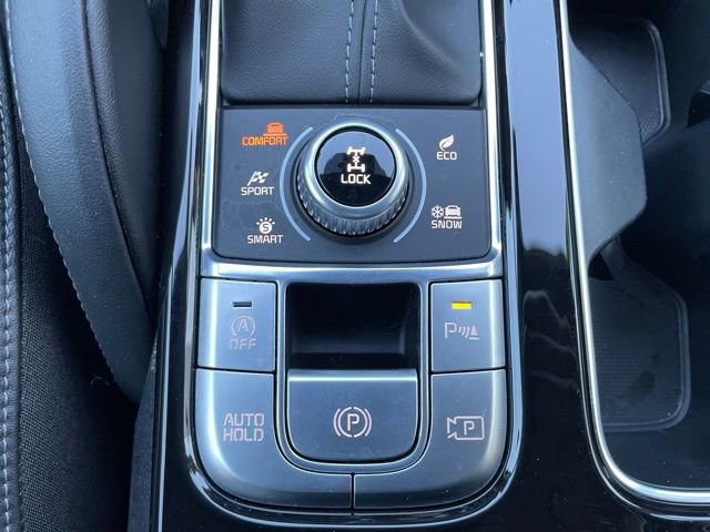 Used 2024 Kia Telluride SX Prestige X-Pro image 24