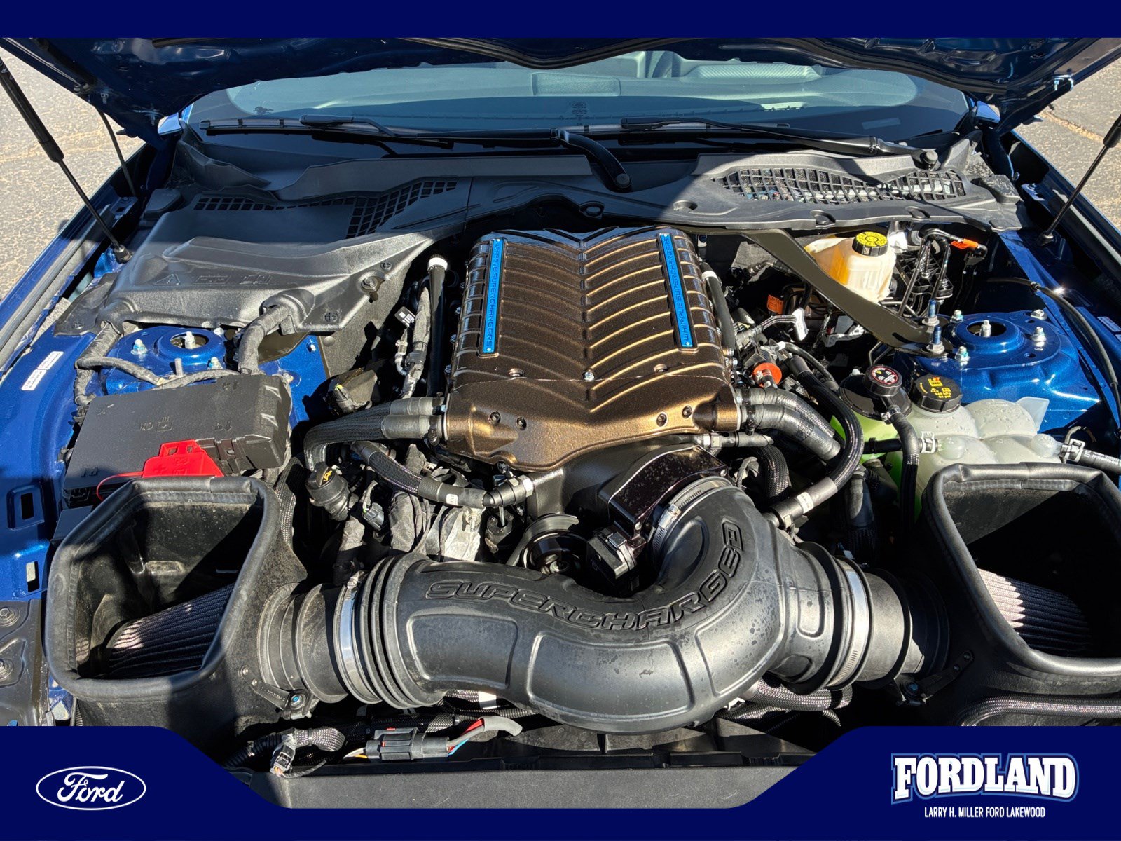 Used 2024 Ford Mustang GT w/ GT Performance Package RWD image 22