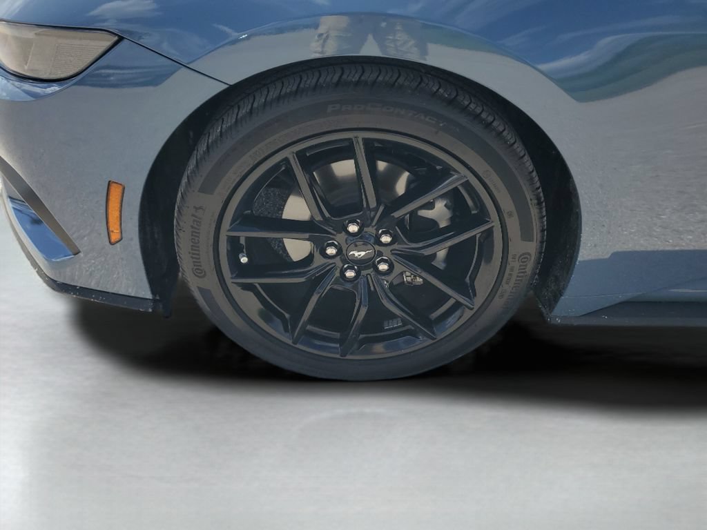 Used 2025 Ford Mustang Premium w/ Mustang Nite Pony Package RWD image 24