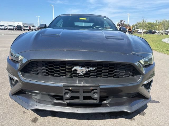Used 2018 Ford Mustang Premium RWD image 5
