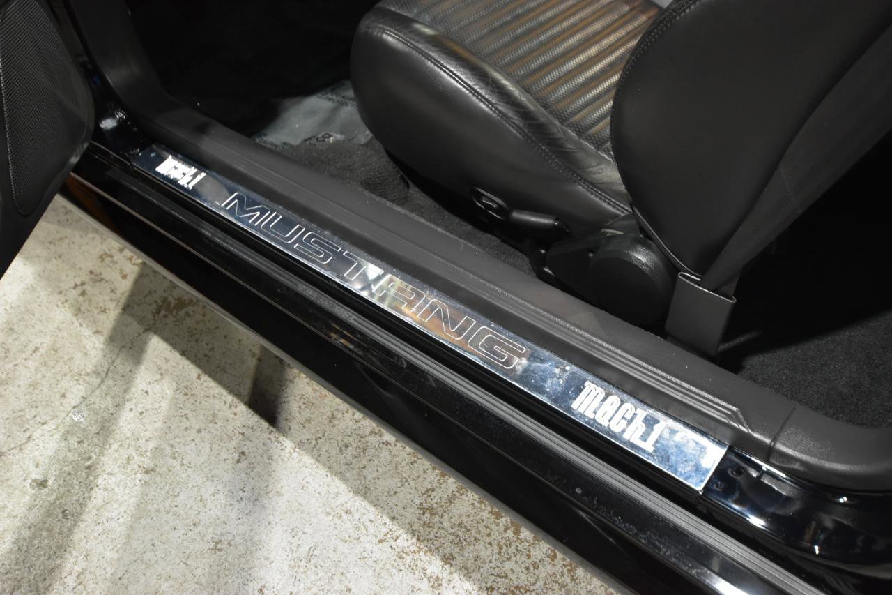 Used 2004 Ford Mustang Mach 1 RWD image 17