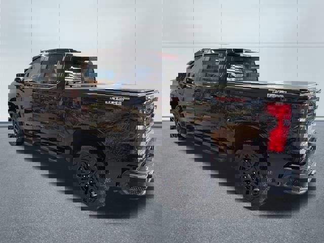 Used 2023 Chevrolet Silverado 1500 LT Trail Boss w/ Protection Package image 4