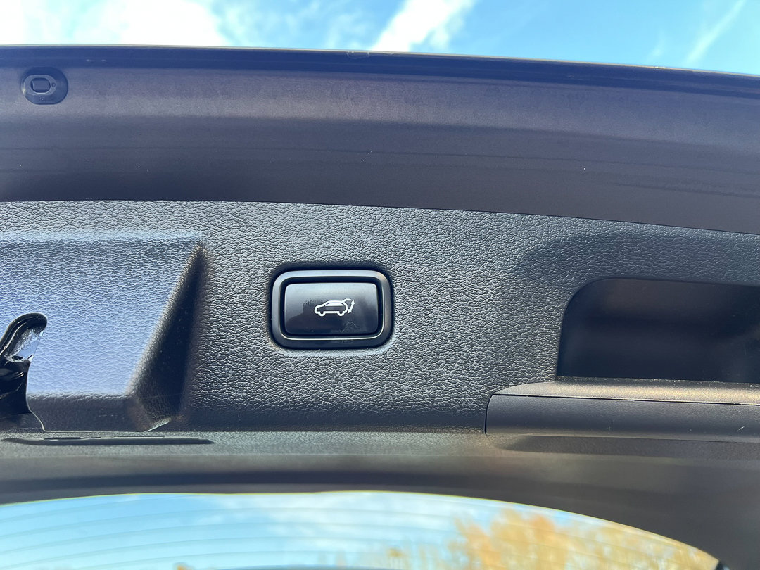 Used 2022 Kia Telluride SX w/ SX Prestige Package image 9