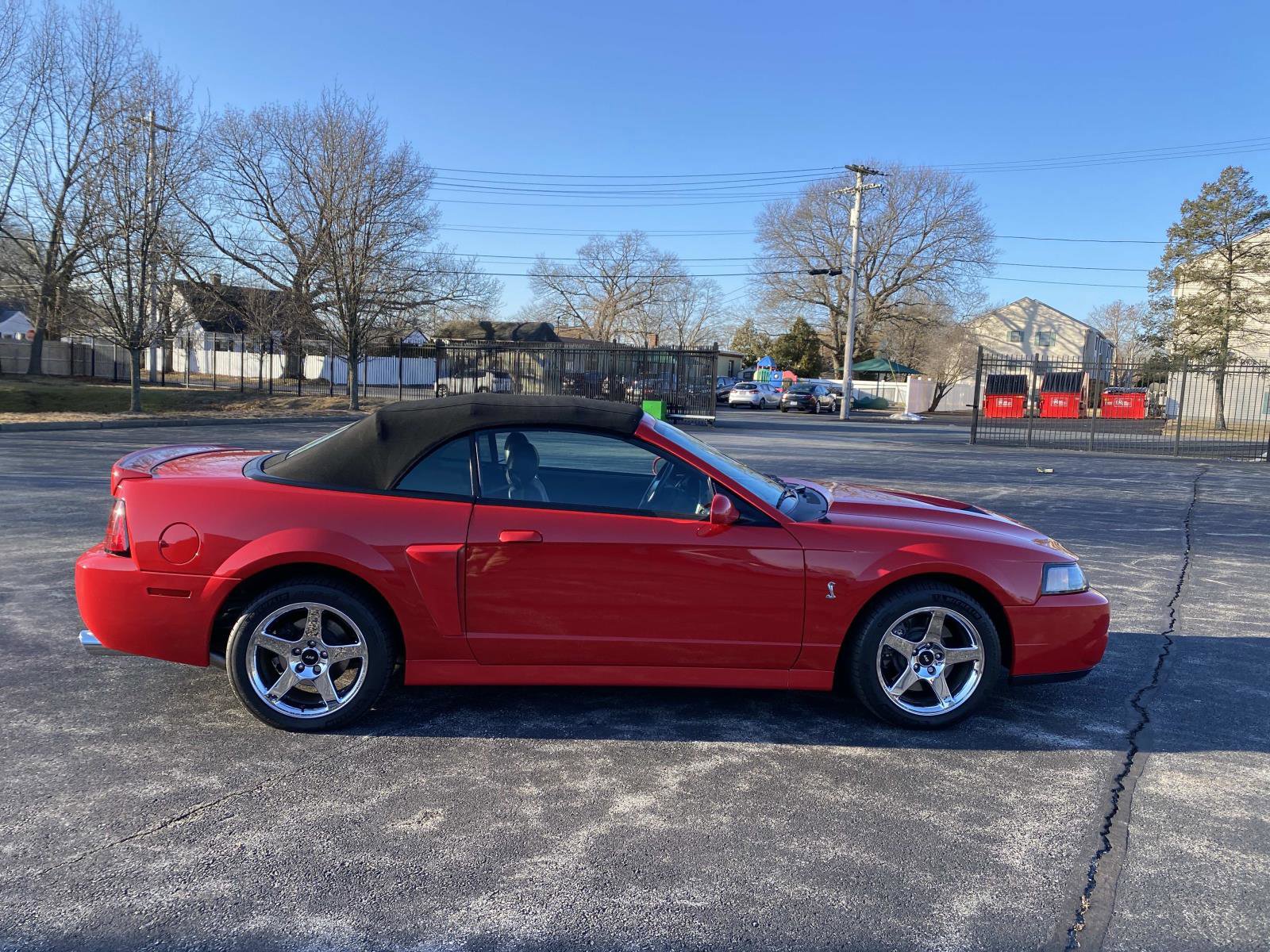 Used 2004 Ford Mustang Cobra image 6