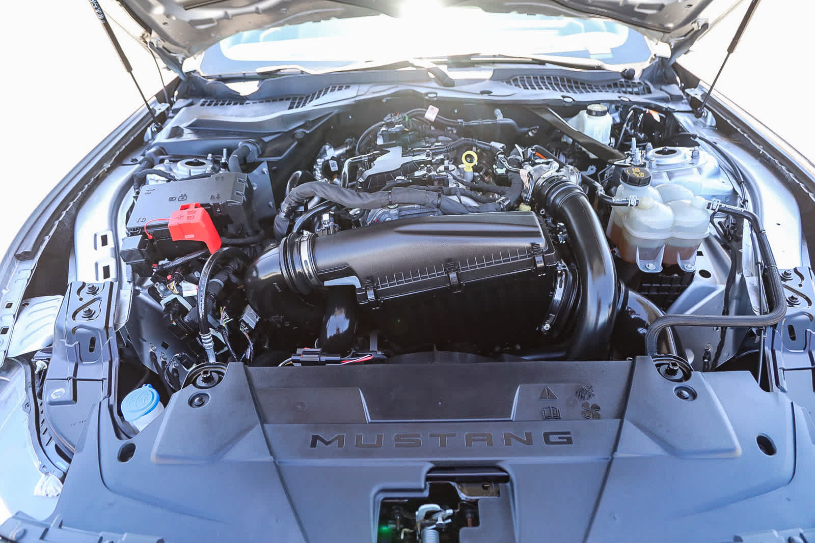 Used 2024 Ford Mustang Premium RWD image 27