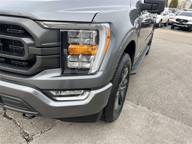 Used 2023 Ford F150 XLT w/ Equipment Group 302A High image 9