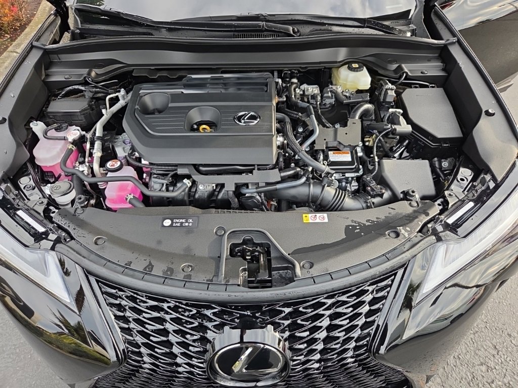 New 2025 Lexus UX 300h AWD image 29