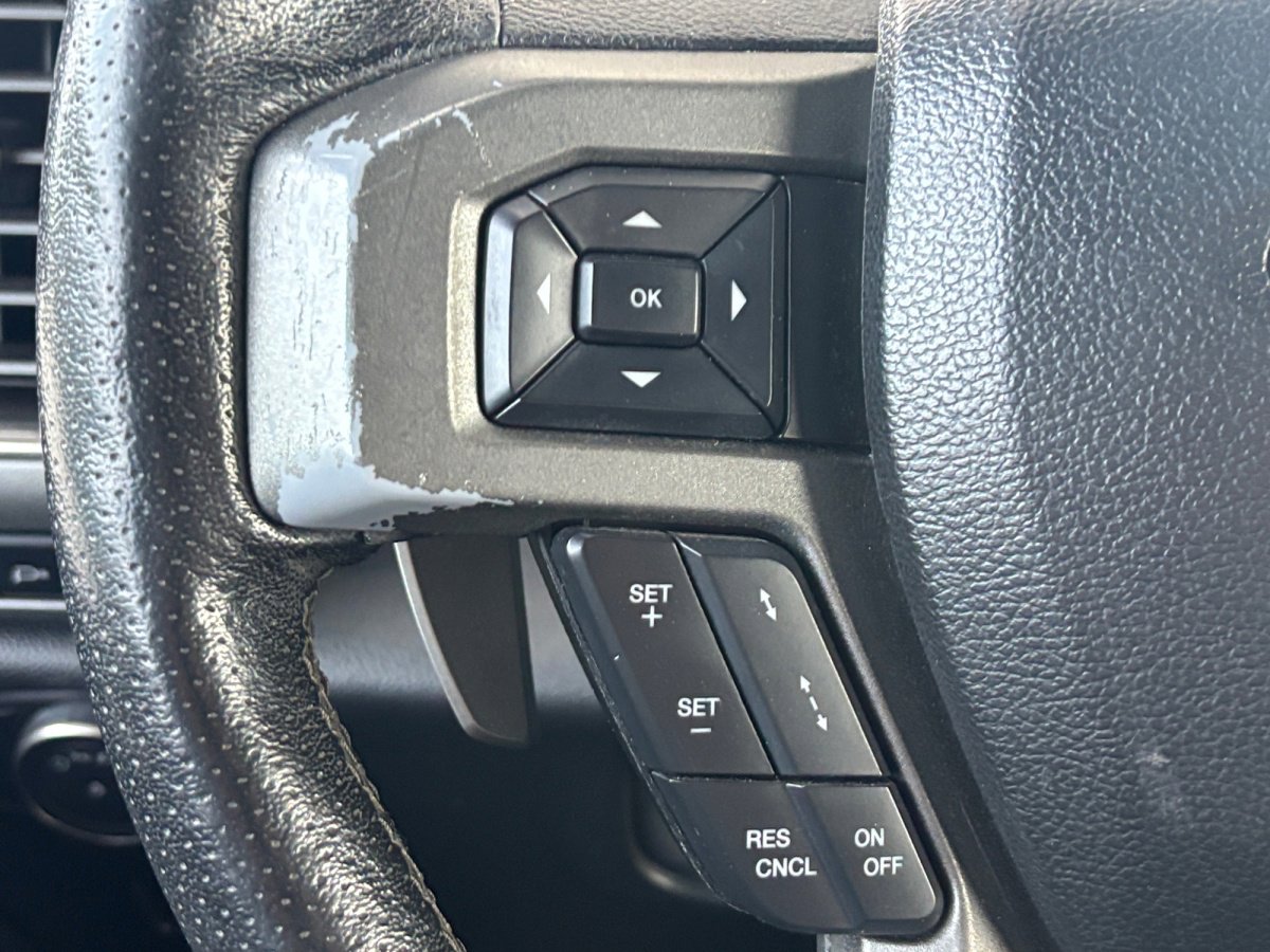 Used 2017 Ford F150 Raptor w/ Equipment Group 802A Luxury AWD/4WD image 11