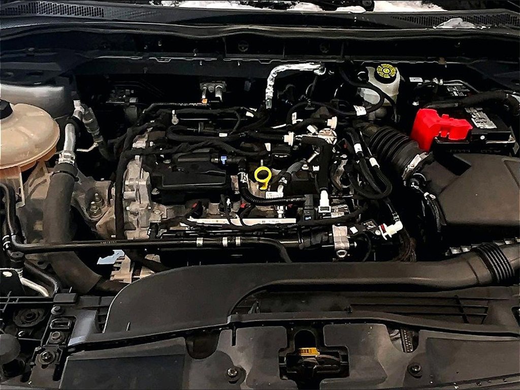 Used 2022 Ford Escape SE w/ Cold Weather Package image 28