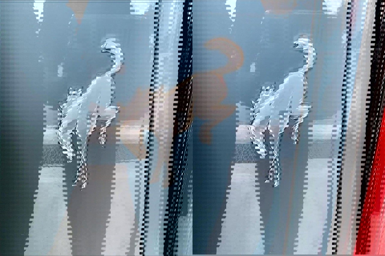 Used 2023 Ford Bronco Badlands w/ Sasquatch Package image 7