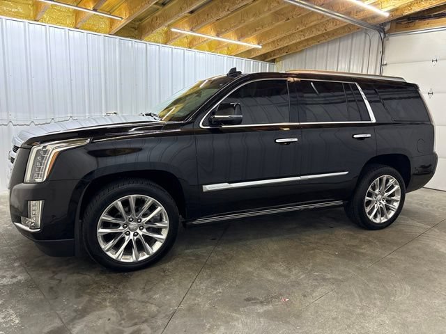 Used 2019 Cadillac Escalade Premium Luxury AWD/4WD image 4
