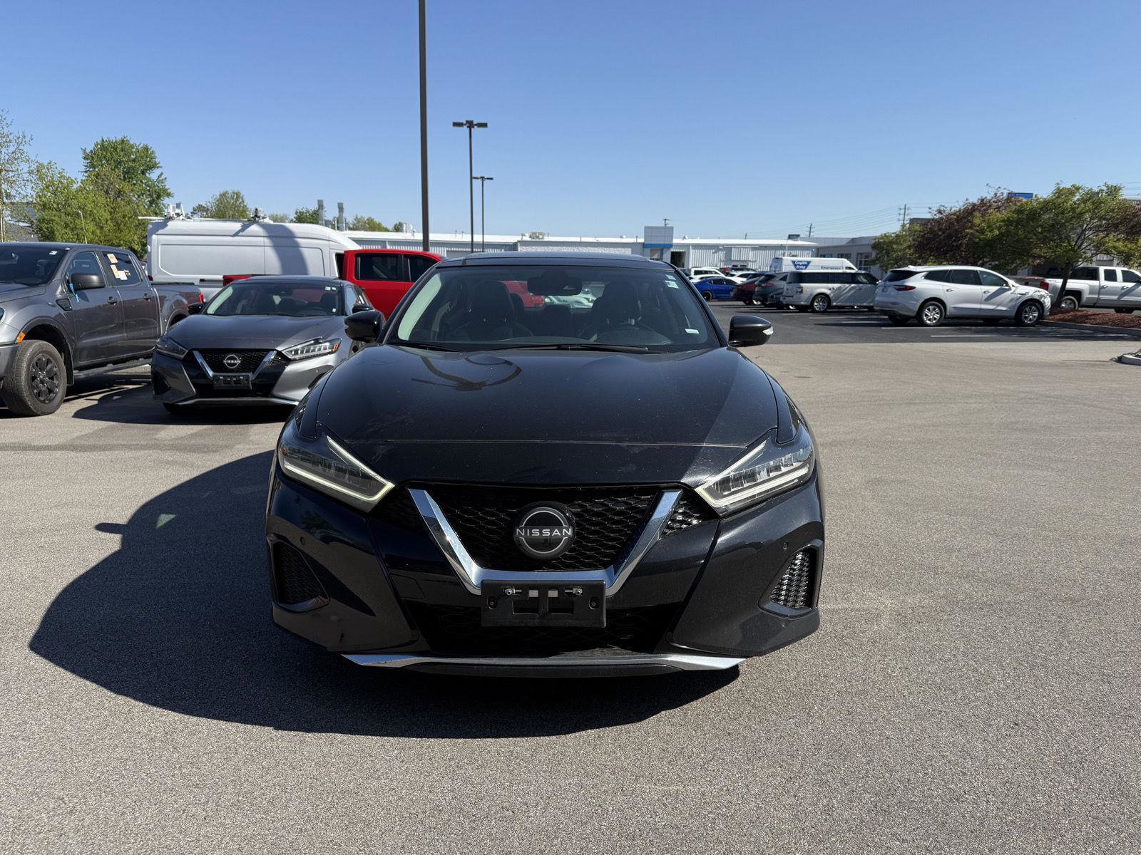 Used 2023 Nissan Maxima SL FWD image 6