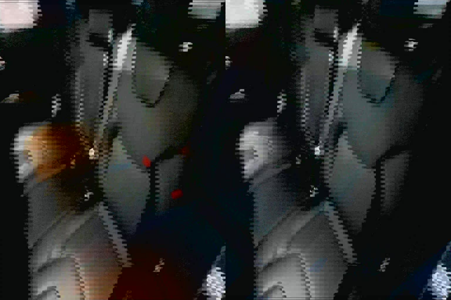 Used 2022 Jeep Cherokee Latitude Lux w/ Sun & Sound Group image 13