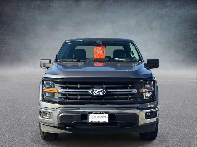 Used 2025 Ford F150 XLT w/ Equipment Group 301A Standard image 8