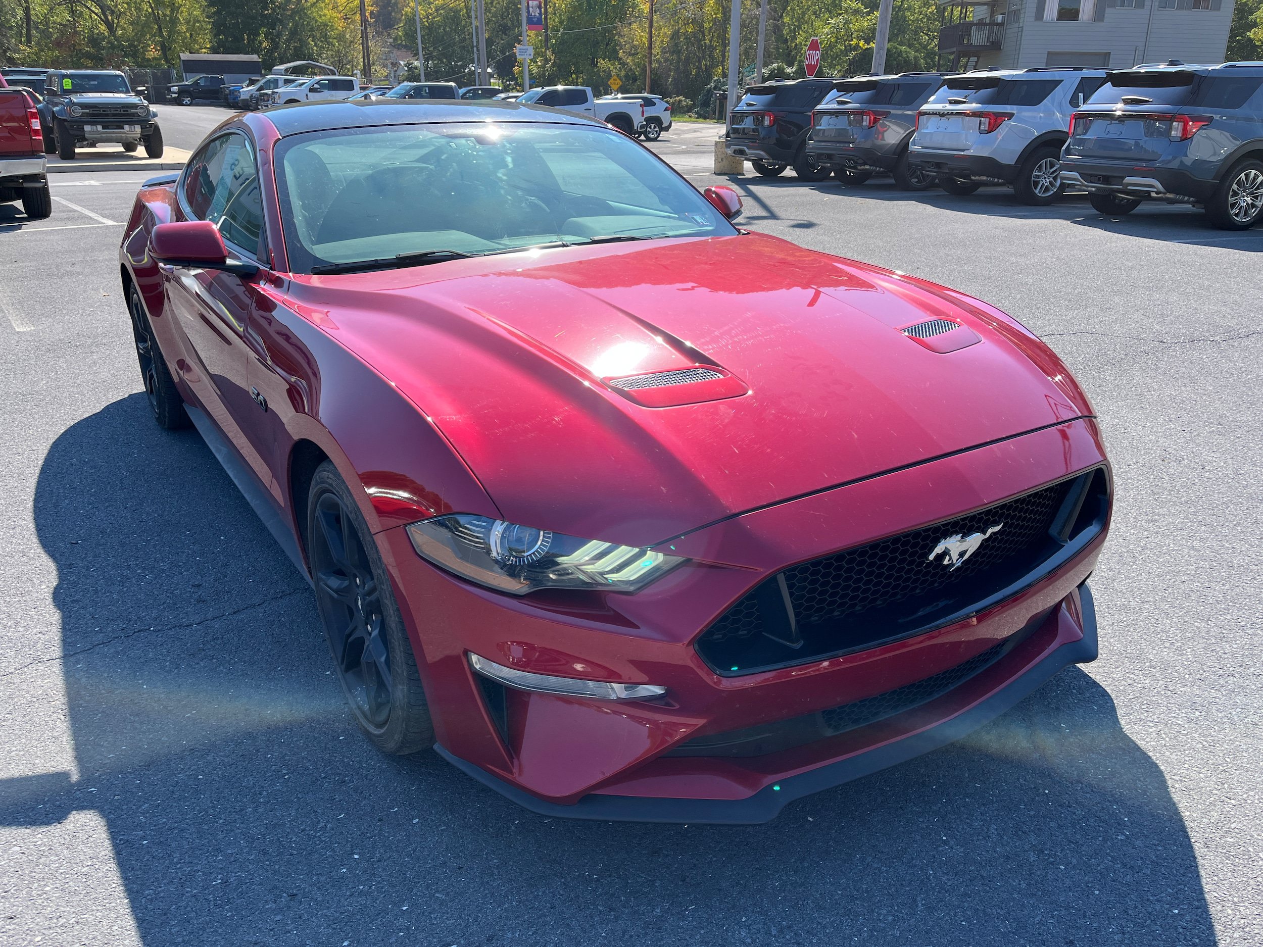 Used 2020 Ford Mustang GT w/ Equipment Group 301A RWD image 4