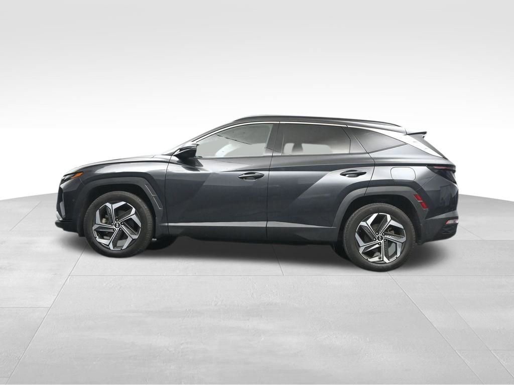 Used 2022 Hyundai Tucson Limited AWD/4WD image 12