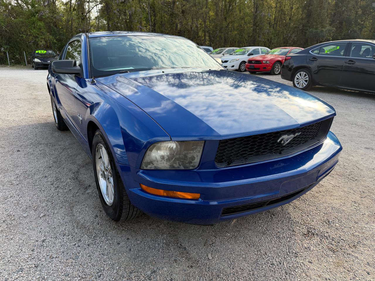 Used 2009 Ford Mustang Coupe image 7