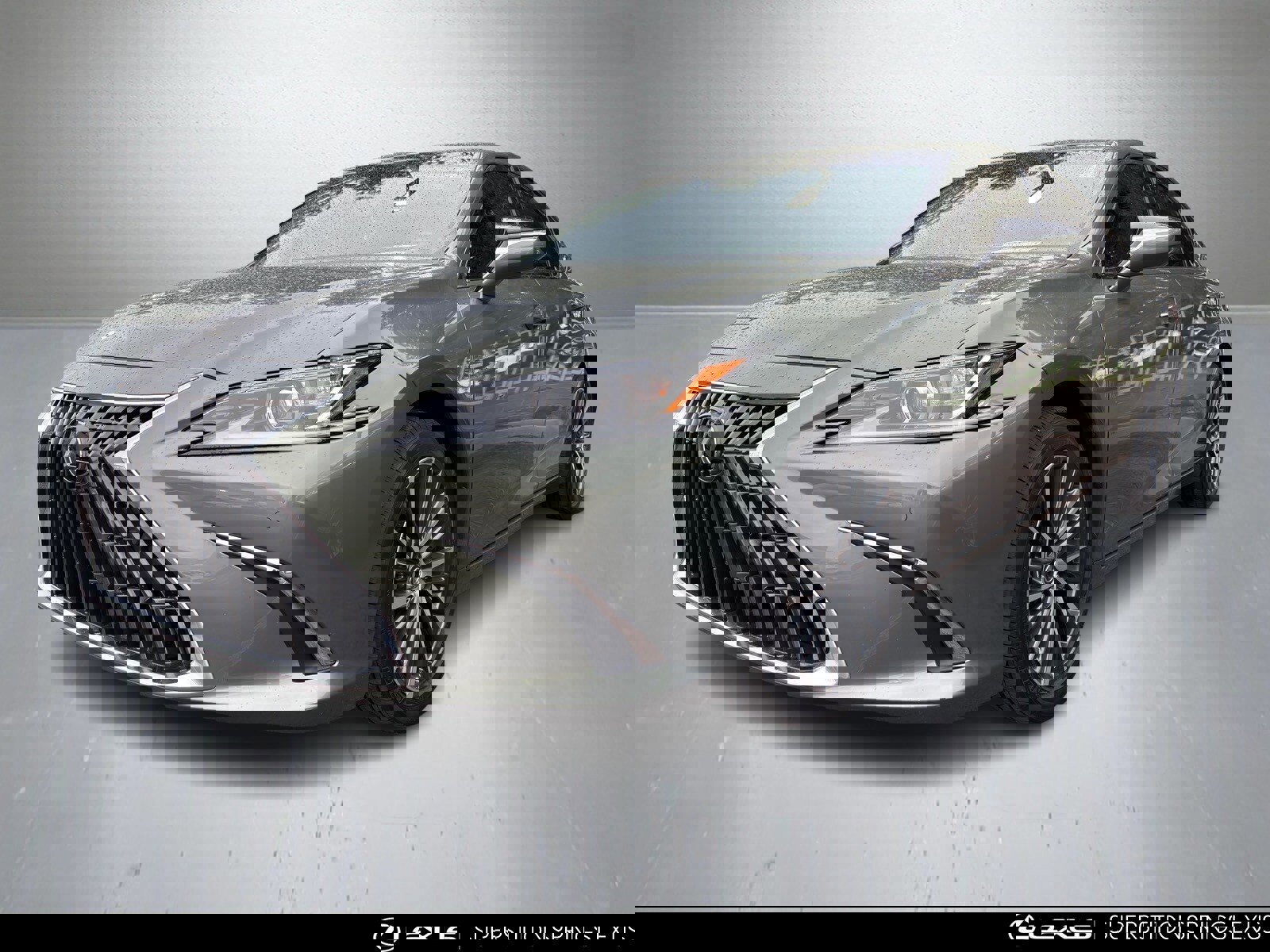 Used 2025 Lexus ES 300h w/ Premium Package image 5