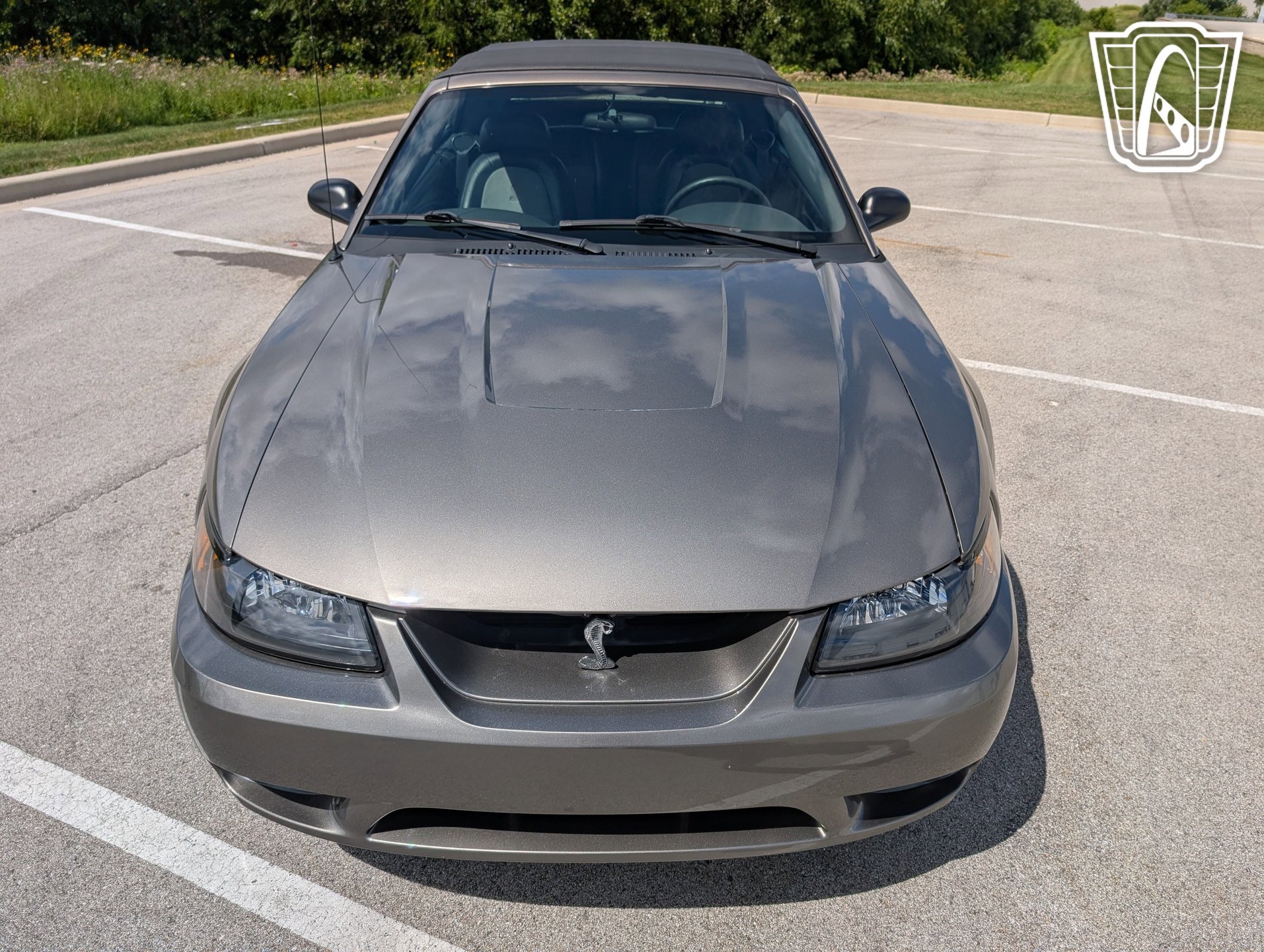 Used 2001 Ford Mustang Cobra image 23