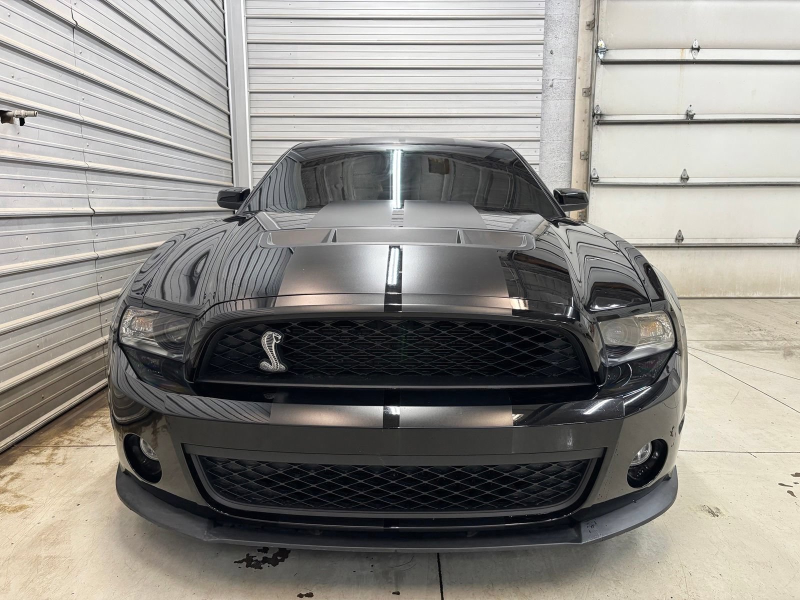 Used 2010 Ford Mustang Shelby GT500 RWD image 2