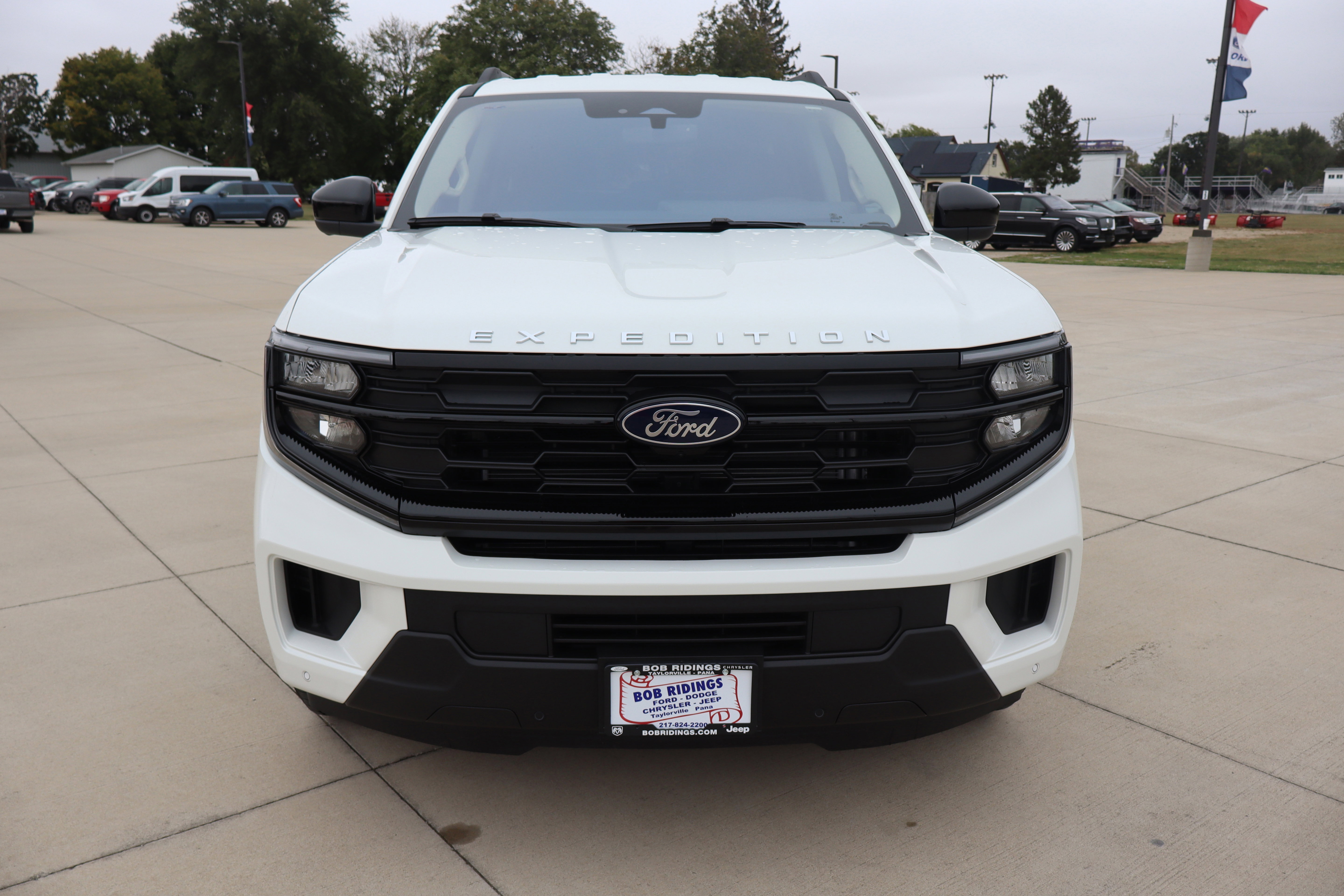 New 2025 Ford Expedition Active image 2
