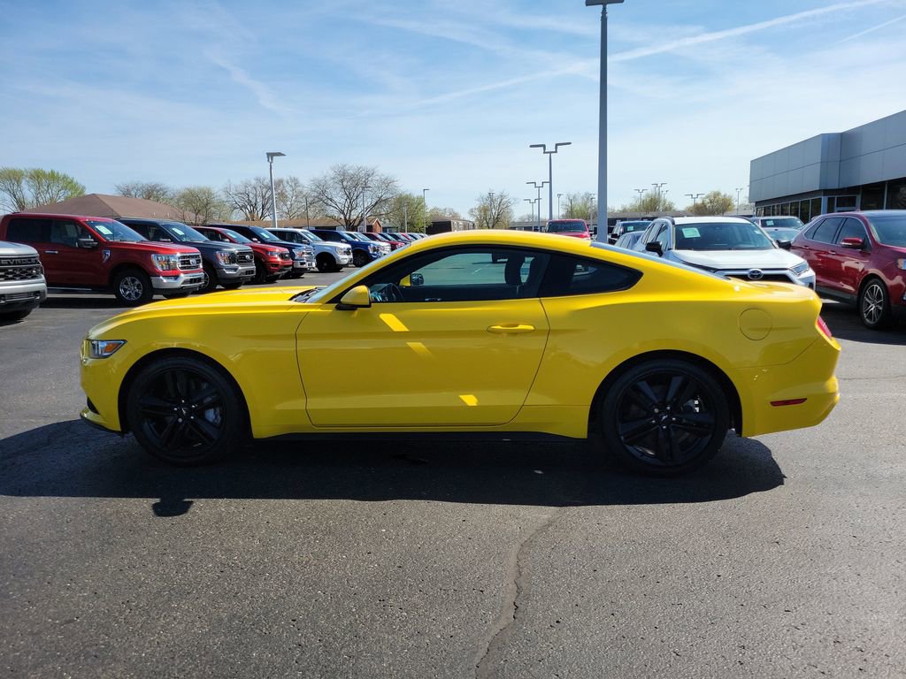 Used 2015 Ford Mustang Coupe w/ Ecoboost Performance Package image 5