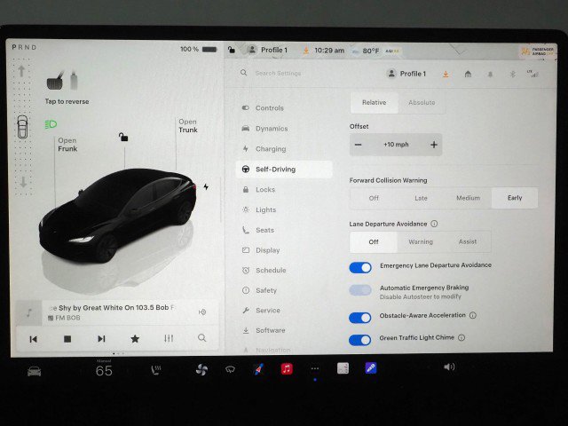 Used 2025 Tesla Model 3 AWD/4WD image 30