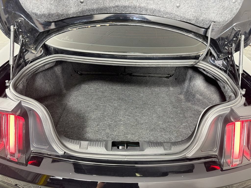 Used 2019 Ford Mustang GT w/ Equipment Group 301A RWD image 22