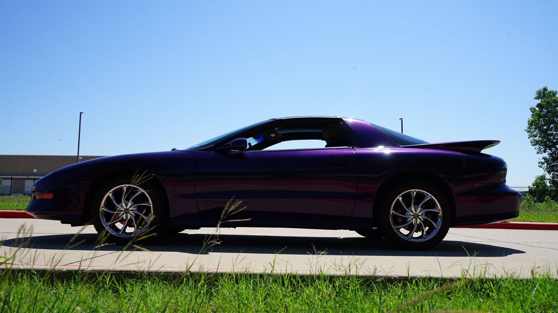 Used 1997 Pontiac Firebird Trans Am RWD image 7