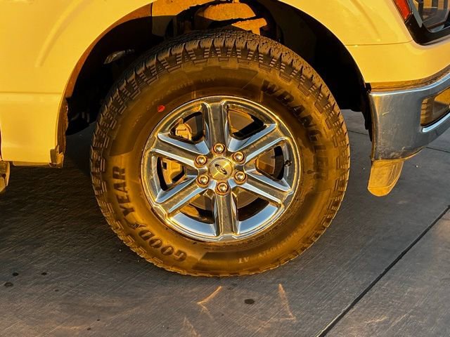 Used 2025 Ford F150 XLT w/ Equipment Group 301A Standard image 7